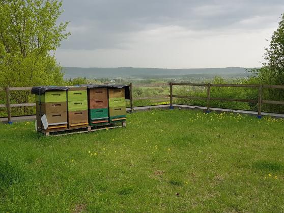 Bienenstände auf dem Hochbehälter in Reusten